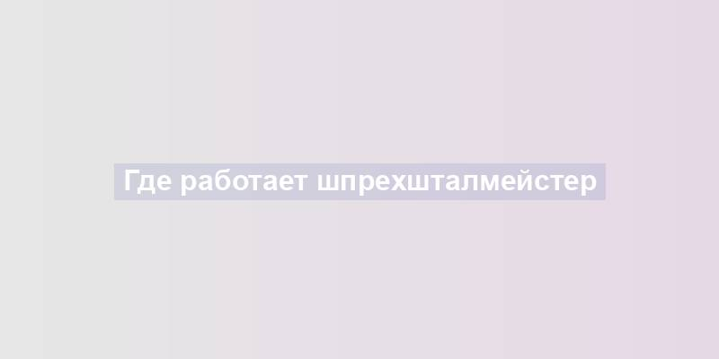 Где работает шпрехшталмейстер