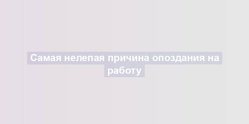 Самая нелепая причина опоздания на работу