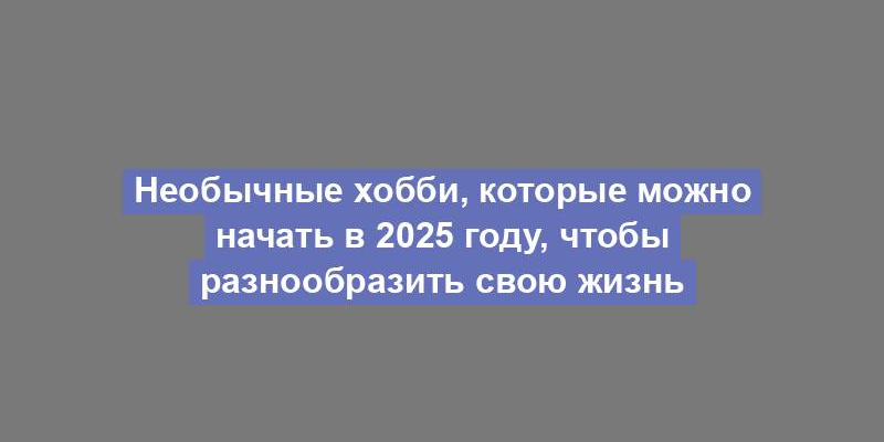 Необычные хобби, которые можно начать в 2025 году, чтобы разнообразить свою жизнь