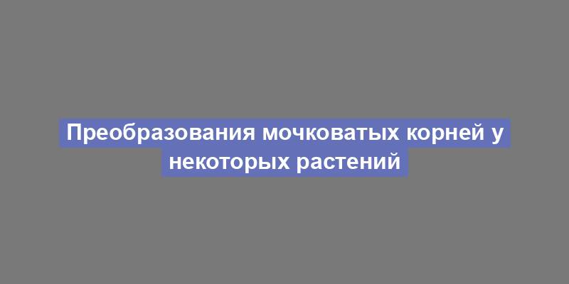 Преобразования мочковатых корней у некоторых растений