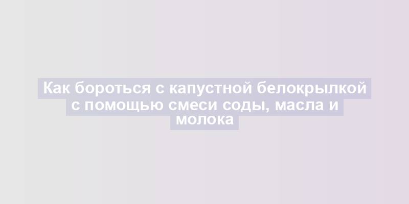 Как бороться с капустной белокрылкой с помощью смеси соды, масла и молока