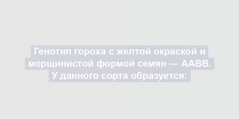 Генотип гороха с желтой окраской и морщинистой формой семян — ААbb. У данного сорта образуется: