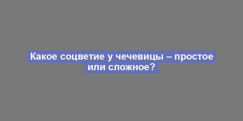 Какое соцветие у чечевицы – простое или сложное?