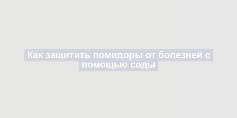 Как защитить помидоры от болезней с помощью соды