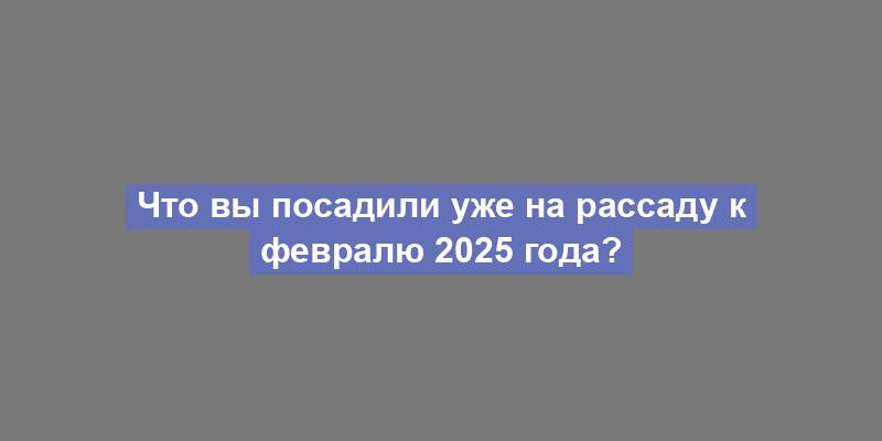 Что вы посадили уже на рассаду к февралю 2025 года?